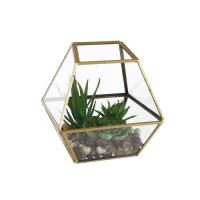 Wrought Studio Desktop Succulent Plant in Terrarium   
